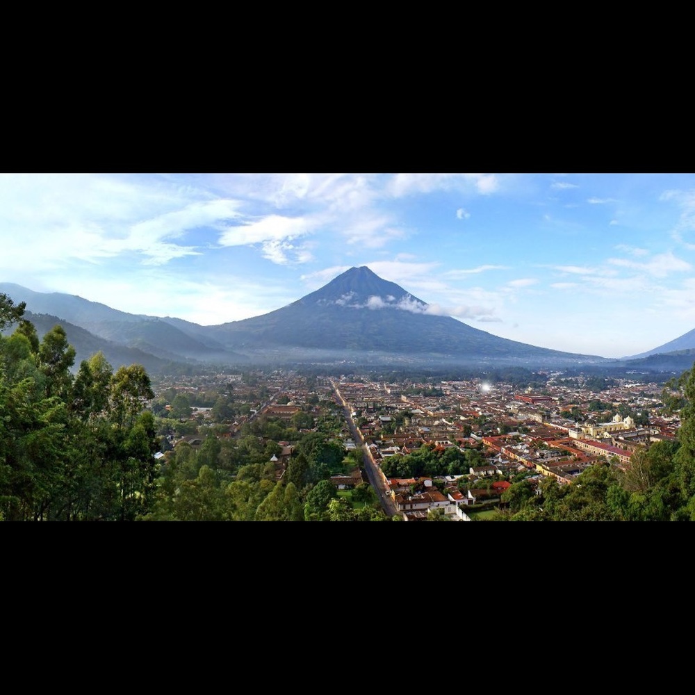 Meet your Posher, Kotzij